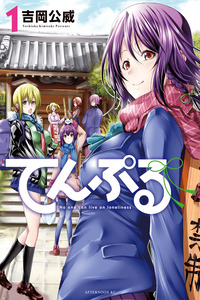 Temple cover