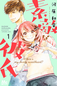 Suteki na Kareshi cover