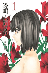 The Bones of an Invisible Person cover