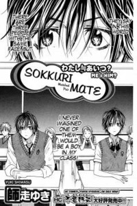 Sokkuri Mate cover