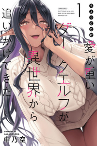 Chotto dake ai ga omoi Dark Elf ga Isekai kara oikakete kita cover
