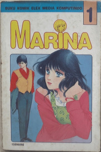 Marina cover