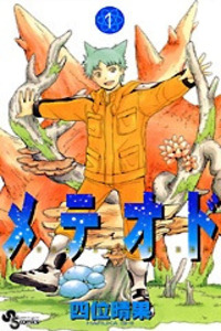 Meteod cover