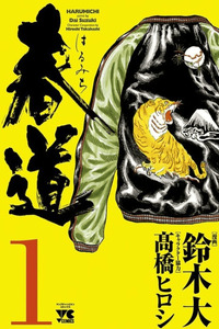 Harumichi cover