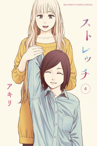 Stretch cover